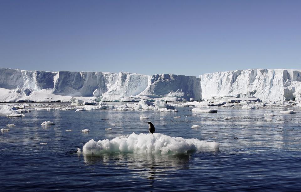 An Adelie penguin stands atop a block of melting ice near the French station at Dumont d�Urville in East Antarctica January 23, 2010. Russia and the Ukraine on November 1, 2013 again scuttled plans to create the world's largest ocean sanctuary in Antarctica, pristine waters rich in energy and species such as whales, penguins and vast stocks of fish, an environmentalist group said. The Commission for the Conservation of Antarctic Marine Living Resources wound up a week-long meeting in Hobart, Australia, considering proposals for two "marine protected areas" aimed at conserving the ocean wilderness from fishing, drilling for oil and other industrial interests. Picture taken January 23, 2010. To match story ANTARCTIC-ENVIRONMENT/ REUTERS/Pauline Askin (ANTARCTICA - Tags: ENVIRONMENT POLITICS ANIMALS)