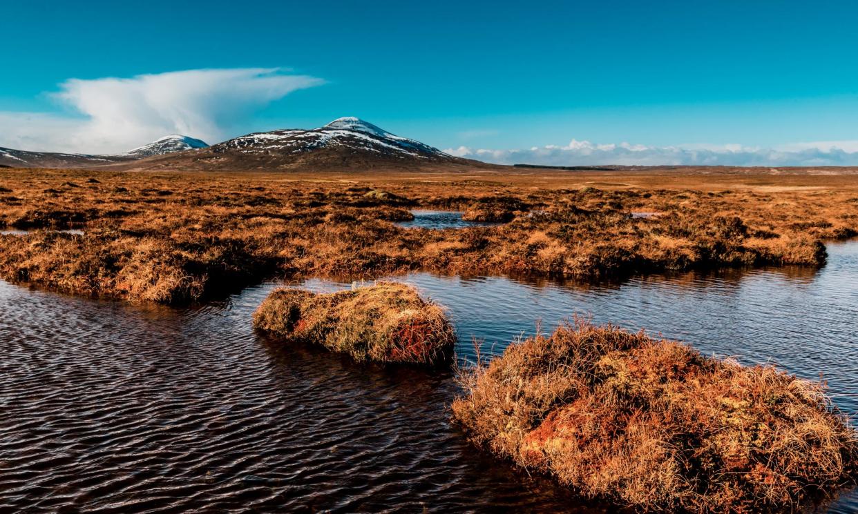<span>Open water and bog mosses in the ecologically vital region of the Flow Country in Forsinard, Scotland.</span><span>Photograph: lucentius/Getty Images</span>