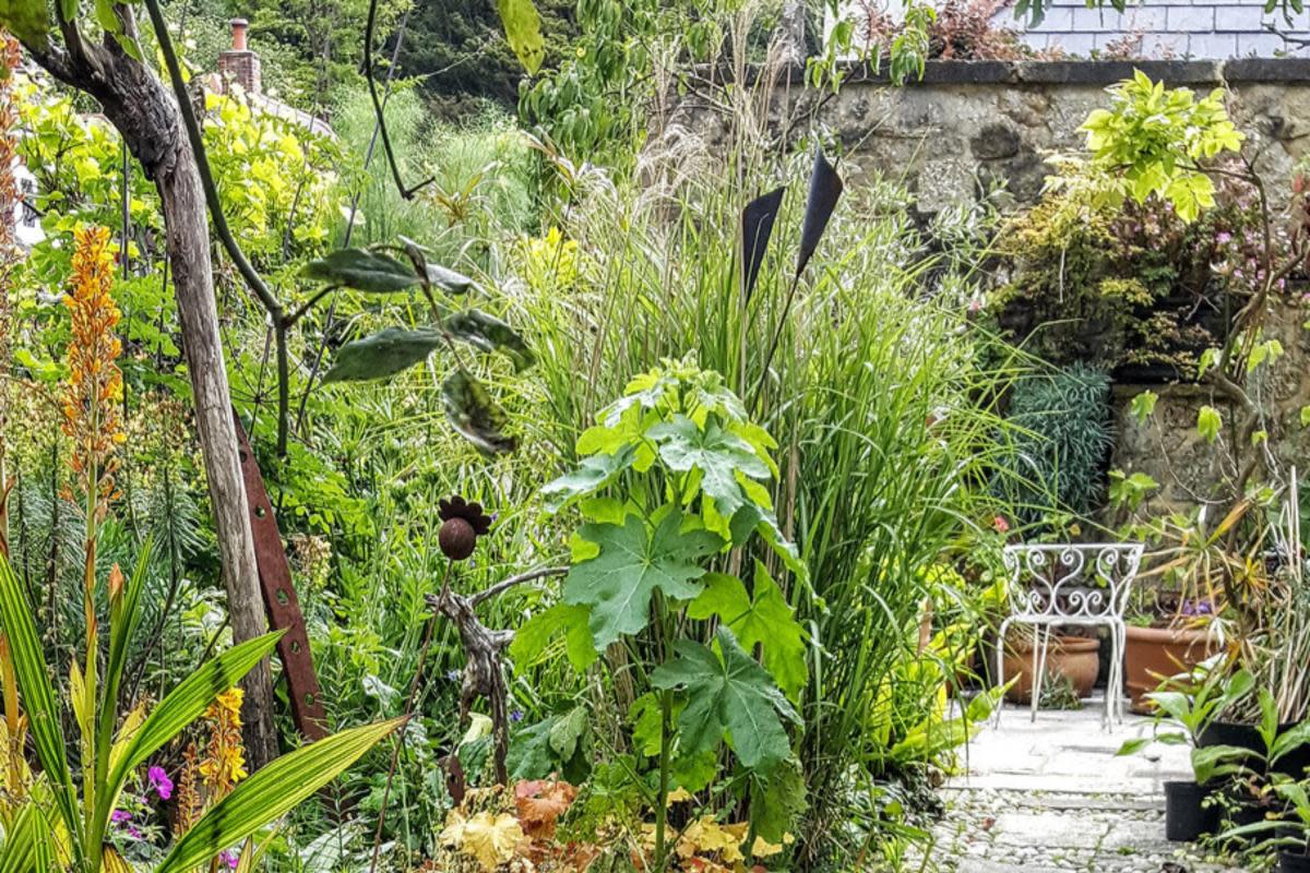 One of the gardens open in Bonchurch <i>(Image: Bonchurch Open Gardens)</i>