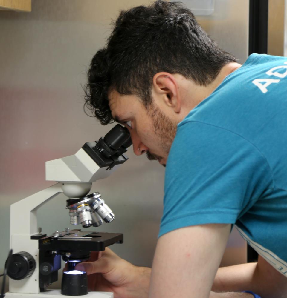 Alex Cerda, veterinary assistant, inspects canine fecal matter to check for parasites July 11 at the Oklahoma City Animal Shelter.