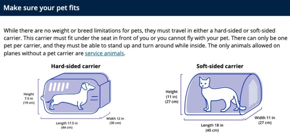 United Airlines has very specific rules for allowing pets on board. United.com