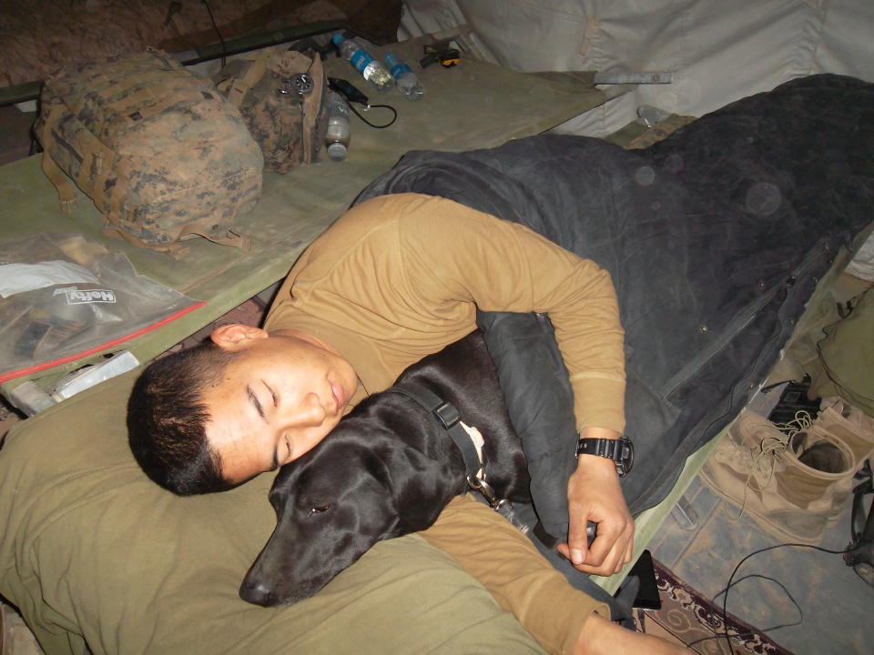 A soldier snuggles with his military dog at night. (Courtesy of Byung Kang)