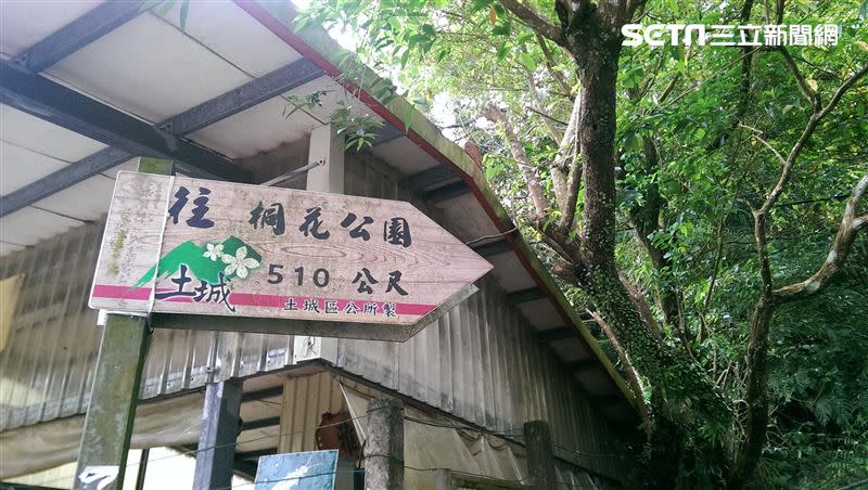 「土城桐花公園」佔地約七公頃的桐花公園，闢建完成於民國93年。（圖／記者戴玉翔攝影）