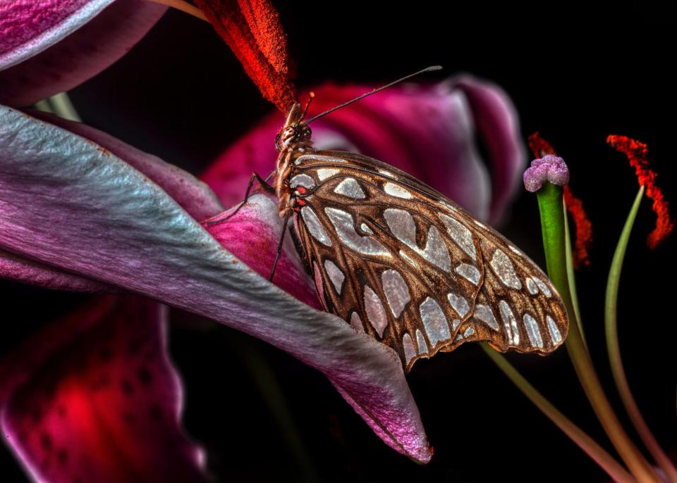 'Belleza Natural' de @fitotejada (Guatemala)