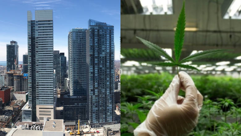 GTA condo boards move to ban homegrown cannabis inside units
