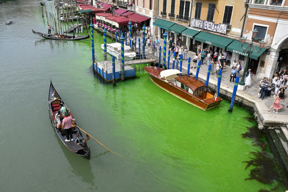 A gondola navigates along Venice's historical Grand Canal as a patch of phosphorescent green liquid spreads in it, Sunday, May 28, 2023. The governor of the Veneto region, Luca Zaia, said that officials had requested the police to investigate to determine who was responsible, as environmental authorities were also testing the water. (AP Photo/Luigi Costantini)