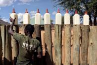 A keeper places bottles of milk on a fence, before feeding orphaned elephants, at the Reteti elephant sanctuary in Samburu county