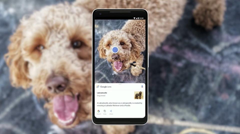 Google has been busy updating Lens, its AI-powered image recognition tool,