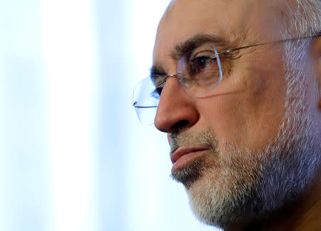 FILE PHOTO: Iran's nuclear chief Ali Akbar Salehi speaks to Reuters during an interview in Brussels, Belgium November 27, 2018. REUTERS/Yves Herman/File Photo