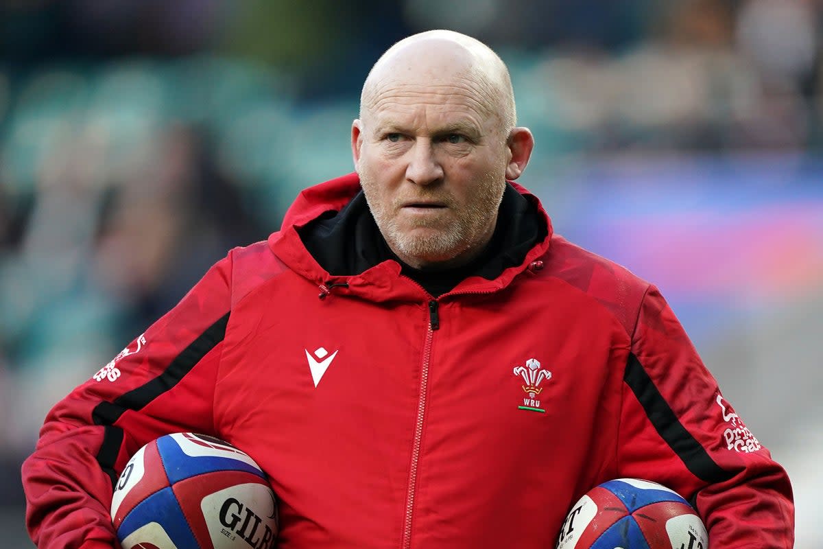 Neil Jenkins acknowledges Wales are experiencing some short-term pain (Mike Egerton/PA) (PA Archive)