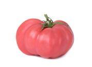 <p><strong>State Fruit & Vegetable: Pink Tomato </strong></p><p>While there's always a debate on if the tomato is a fruit or vegetable, in <a href="https://www.sos.arkansas.gov/education/games-activities/" rel="nofollow noopener" target="_blank" data-ylk="slk:Arkansas it gets to be both;elm:context_link;itc:0;sec:content-canvas" class="link ">Arkansas it gets to be both</a>. The state also has an official grape (the Synthiana), an official grain (rice) and an official soil (Stuggart soil series). </p>