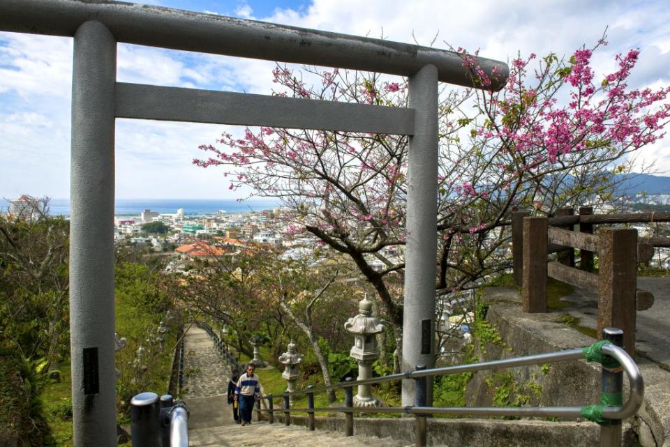 ▲沖繩景點四季玩法-沖繩名護櫻花季。（圖／© Okinawa Convention＆Visitors Bureau）