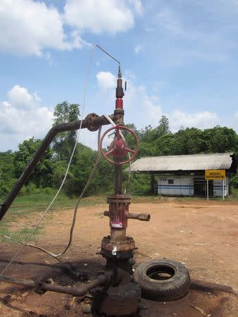 A well head is seen at Limau field in Prabumulih, South Sumatra province, November 21, 2014. REUTERS/Fergus Jensen