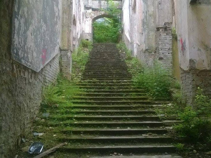 the staricase at gwrych castle covered in overgrowth and greenery