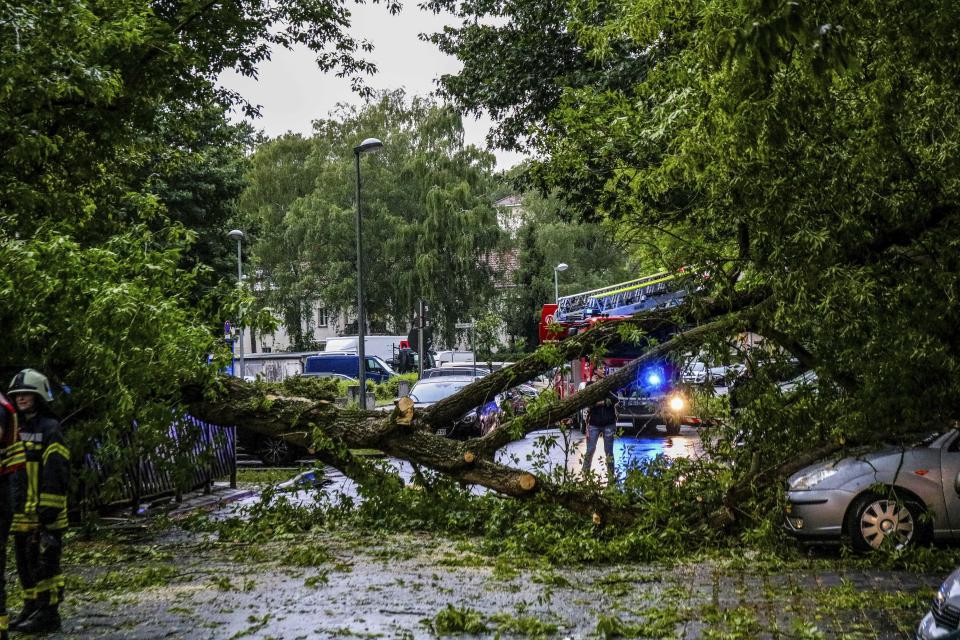 Fallen trees lie on a road after a heavy thunderstorm in Henningsdoirf, near Berlin, Germany, June 12, 2019. Authorities say that about 20 people have been injured in eastern Germany by gusty winds and thunderstorms. (Julian Staehle/dpa via AP)