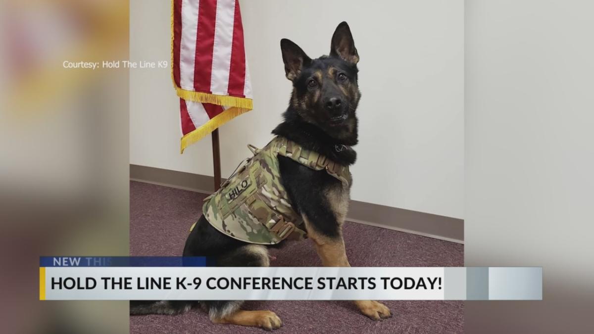 Police, military dog handlers headed to Myrtle Beach for pro tips, K9 ...