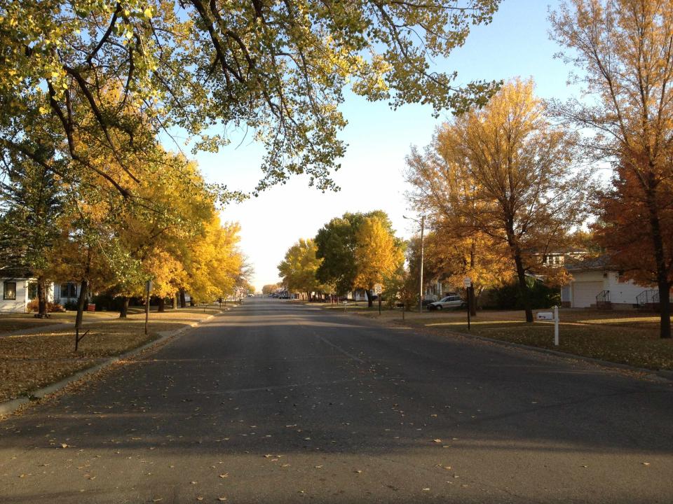 Peaceful Street