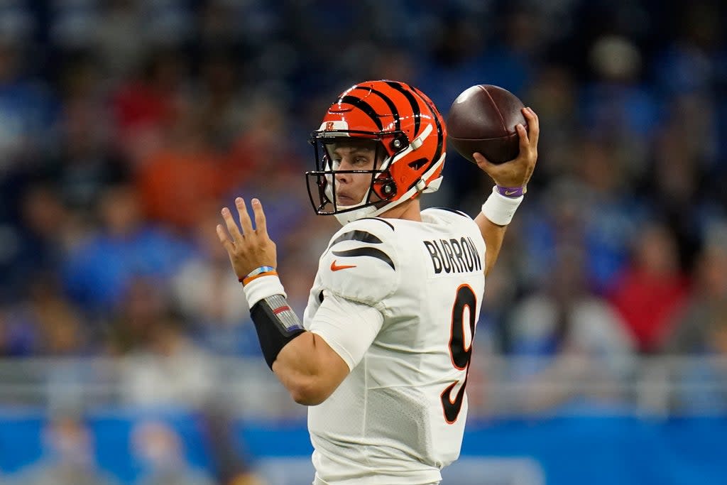 BENGALS LIONS (AP)