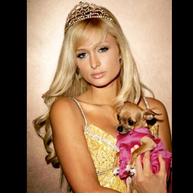 Paris Hilton's beloved purse companion has passed away. The 34-year-old socialite annoced to her 4.1 million Instagram followers on Tuesday that her Chihuahua Tinkerbell had died. "My heart is broken. I am so sad and devastated," Hilton wrote in an emoji-filled message. "After 14 amazing years together, my baby Tinkerbell has passed away of old age." "I feel like I've lost a member of my family," she continued. "She was such a special and incredible soul. We went through so much together. I can't believe she's gone. I will miss her and think about her for the rest of my life. I love you Tinky, you are a Legend & will never be forgotten. #RIPTinkerbell." <strong> PHOTOS: Stars Share Pics of Their Pets </strong> Hilton then began to post numerous photos of her and Tinkerbell's adventures together -- including photo shoots, red carpets and television appearances. "Tinkerbell lived a glamorous life," she captioned a Guess ad of her and the dog. Back in 2004, Hilton had a scare when Tinkerbell went missing. The hotel heiress offered a $5,000 reward for her pet's safe return. The dog was eventually retrieved without explanation. That same year, the satirical book <em> Tinkerbell Hilton Diaries: My Life Tailing Paris Hilton</em>, was also released. <strong> NEWS: Paris Hilton Named Her New Puppy After Herself</strong> Hilton and Tinkerbell are also credited with the trend referred to as "handbag dogs." In the words of Hilton, "#RIPTinkerbell."