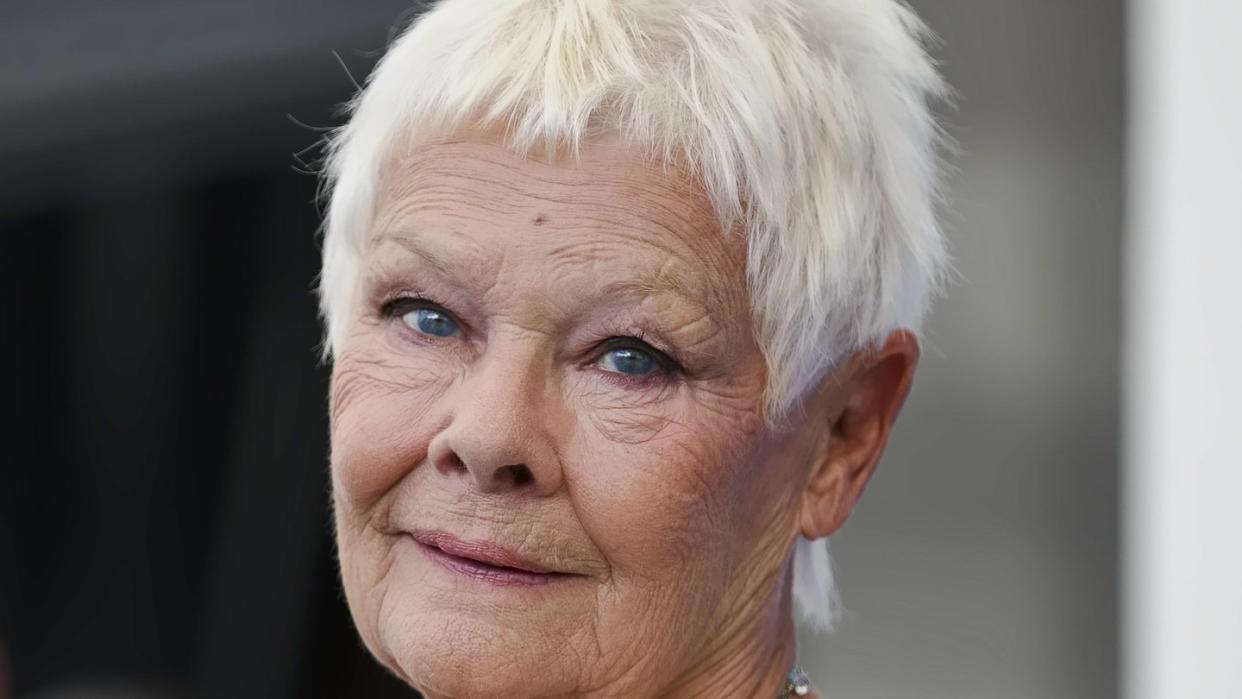 «Ich sehe nicht mehr viel, deswegen hatte ich zunächst auch aufgehört zu malen. Aber ein Freund überzeugte mich davon, dass man auch malen kann, wenn man nicht mehr alles sieht», sagt Judi Dench.