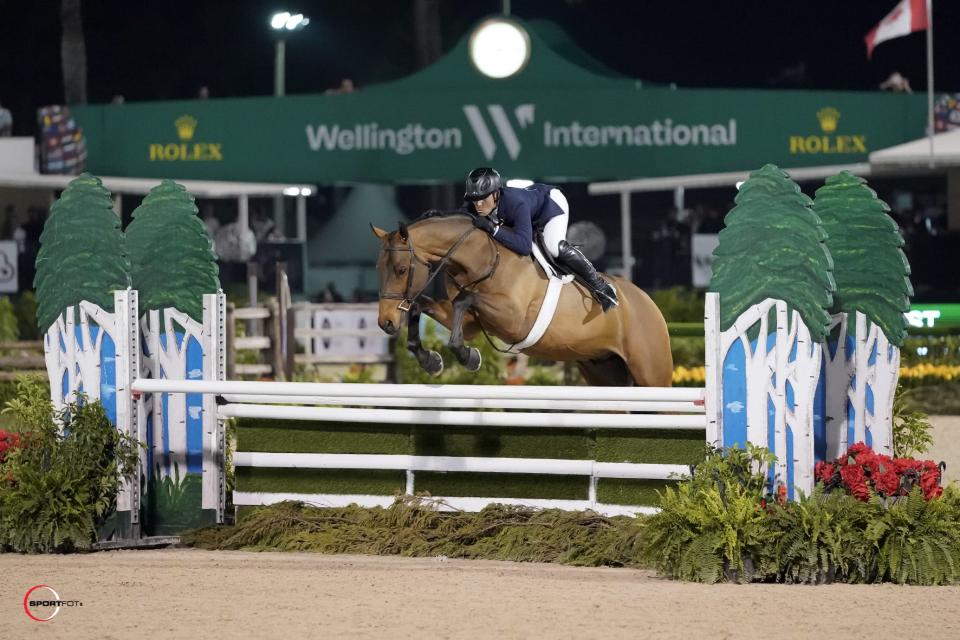 Nick Haness, riding McQueen, won the "Saturday Night Lights" $100,000 WCHR Peter Wetherill Palm Beach Hunter Spectacular at the Winter Equestrian Festival.