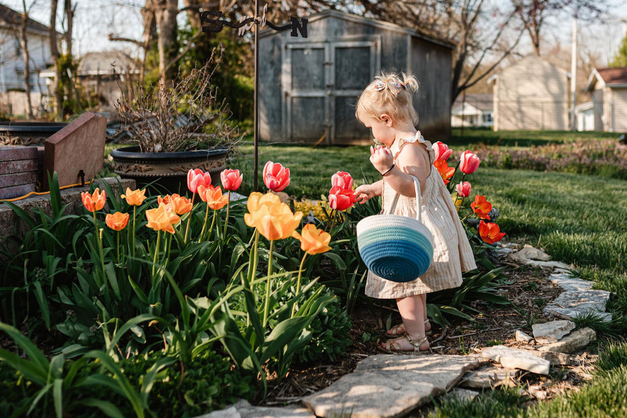 Easter Egg Hunt (Krista Taylor / Getty Images / Cavan Images )