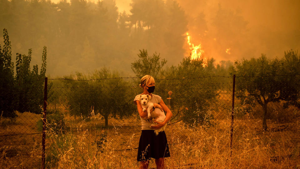 A woman holds a dog in her arms as forest fires approach the village of Pefki on Evia island, Greece. 