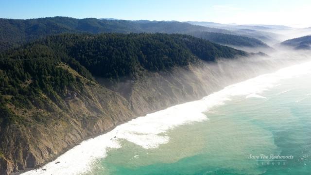 Save the Redwoods League and the San Francisco Giants Celebrate