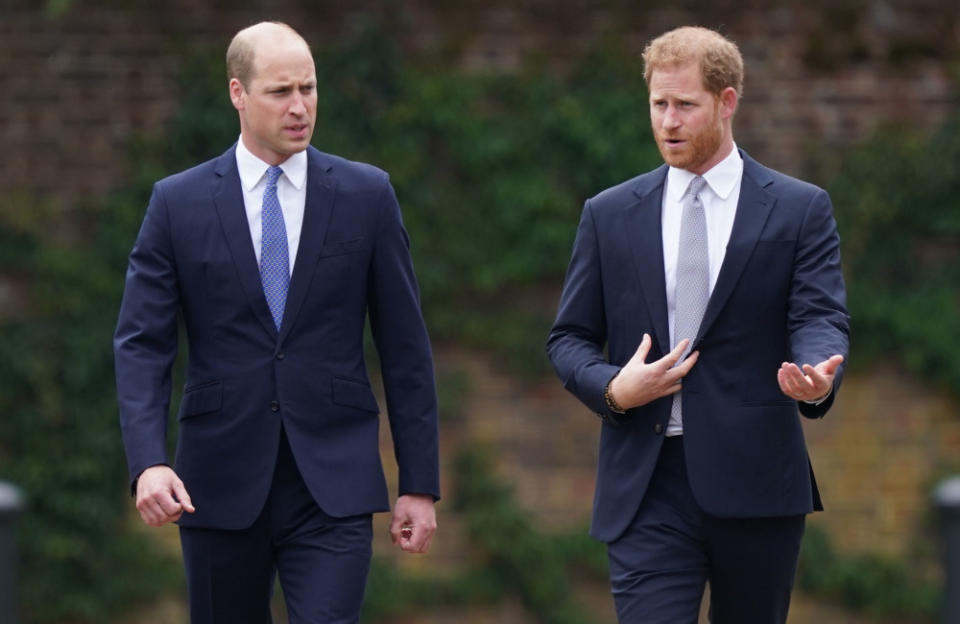 Prince William and Harry