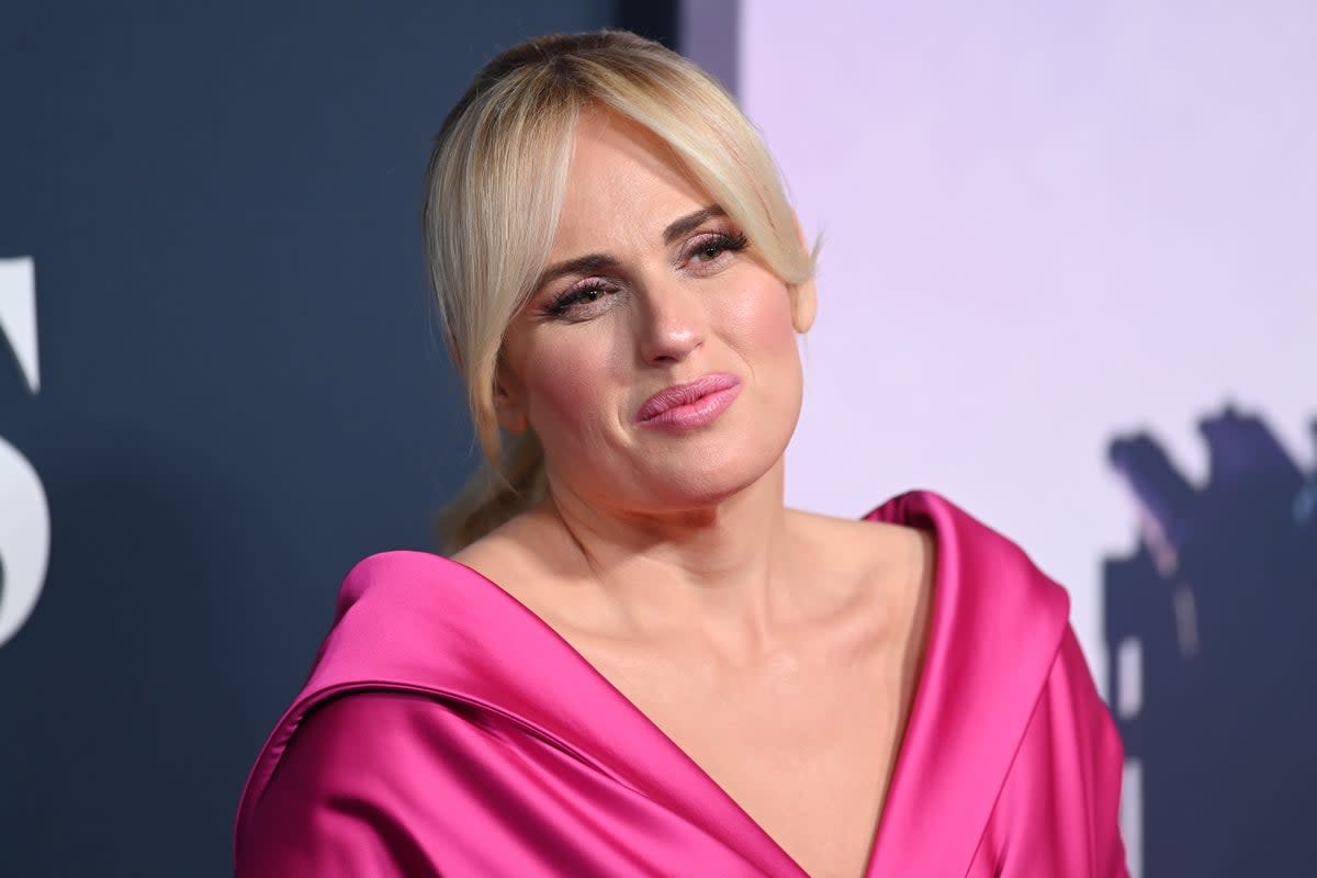 Rebel Wilson has recalled the moment she was told she had ‘no viable embryos’  (Getty Images)