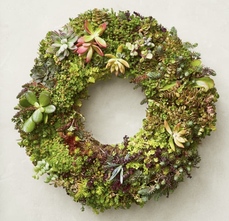 14" Succulent Live Wreath