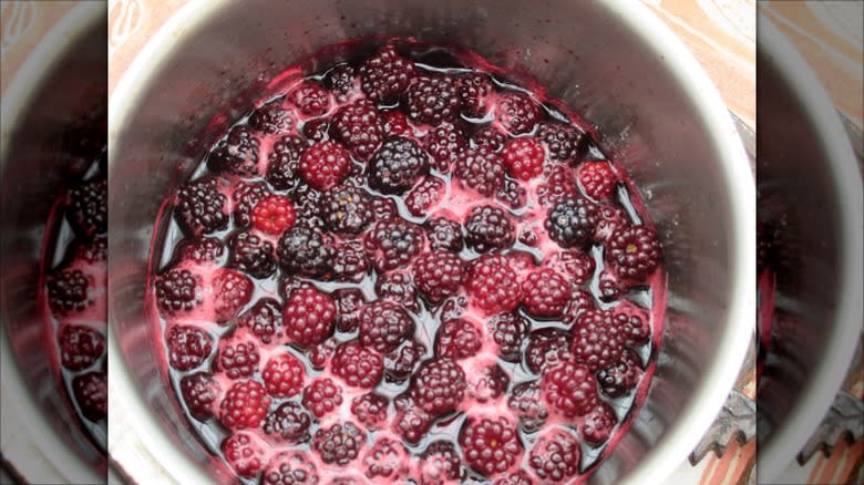 Blackberries in pot