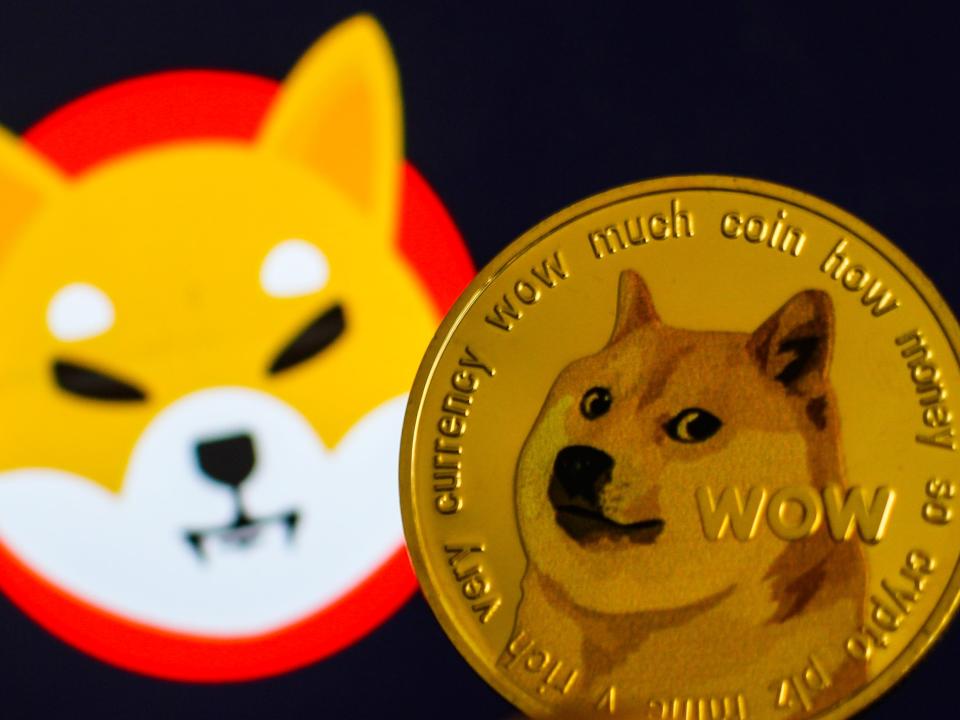 Representation of a Dogecoin cryptocurrency is seen alongside a Shiba Inu cryptocurrency logo