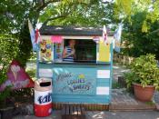 <b>Louis' Lollies </b> <br><br> 13-year-old Louis’ enterprising entry is a shed-come-ice-cream-shop in his parents’ pub garden.