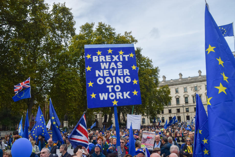 LONDON, UNITED KINGDOM - 2022/10/22: A protester holds an anti-Brexit placard during the demonstration in Parliament Square. Thousands of people marched through Central London demanding that the UK reverses Brexit and rejoins the European Union. (Photo by Vuk Valcic/SOPA Images/LightRocket via Getty Images)
