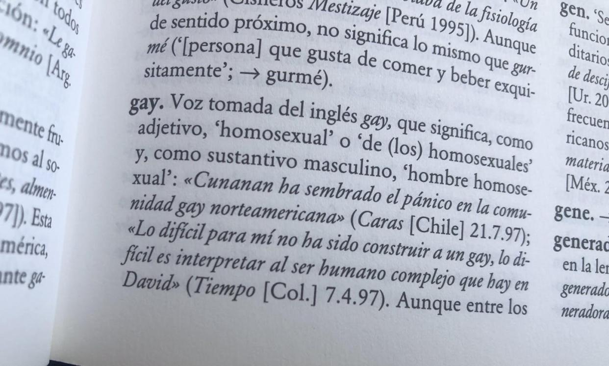 Definición de la palabra 'gay' según el 'Diccionario panhispánico de dudas de la Real Academia Española'. CLR