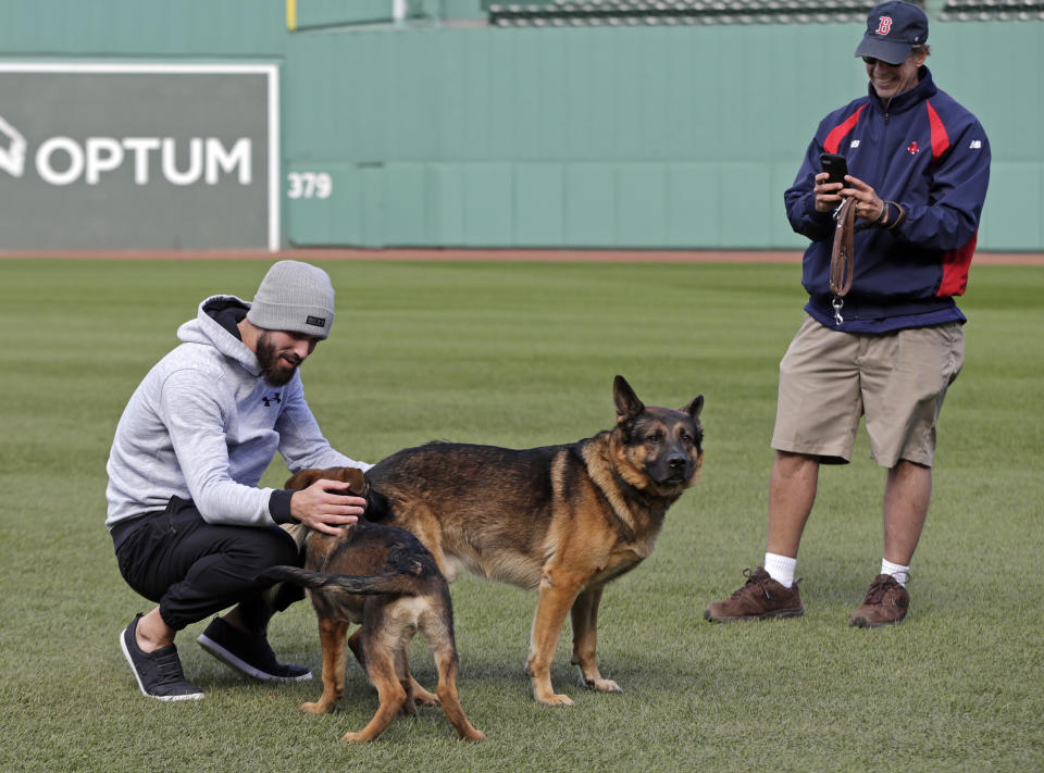 FILE - Boston Red Sox pitcher Rick Porcello, left, plays with his 4-month-old puppy, Bronco, whose father is service dog Drago, owned by head groundskeeper Dave Mellor, right, during a baseball work out at Fenway Park, Oct. 21, 2018, in Boston. A week ago, shortly after walking on the outfield grass before the Red Sox hosted Oakland, Drago had a stroke. Two days later, he died at age 10. (AP Photo/Elise Amendola, File)