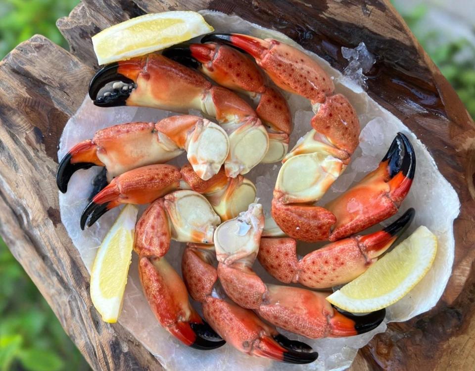 A batch of stone crab claws at Outclaws Seafood retail and wholesale market in Lake Park.