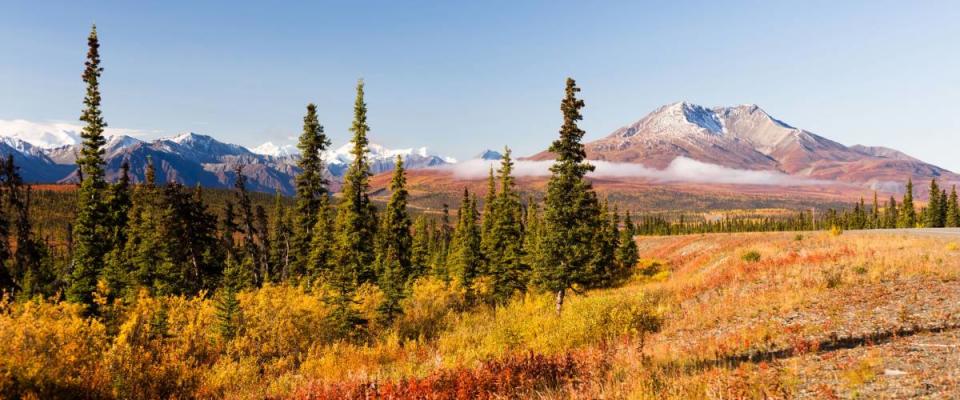 A panoramic view of tundra and mountainous landscape in the last frontier of Alaska