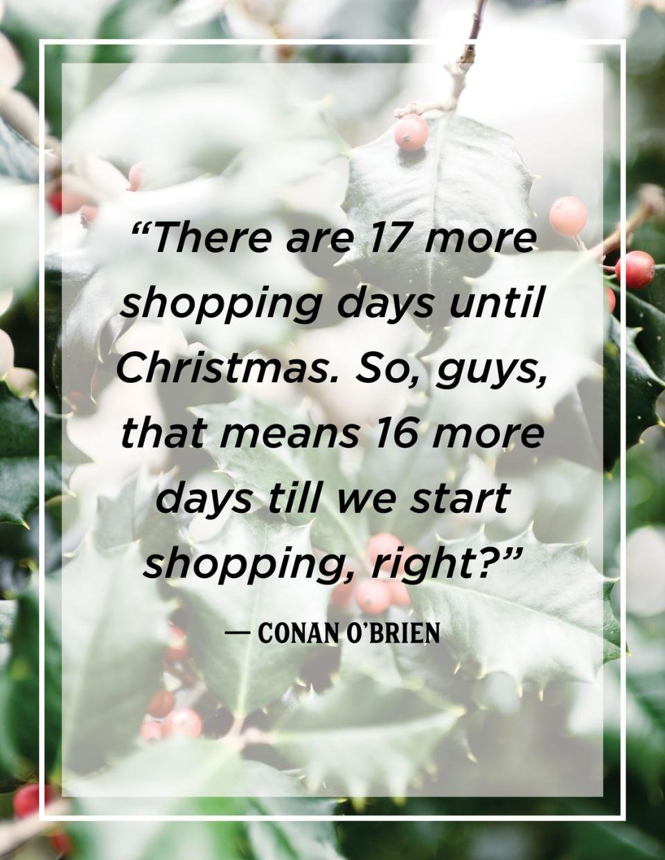 <p>"There are 17 more shopping days until Christmas. So, guys, that means 16 more days till we start shopping, right?"</p>