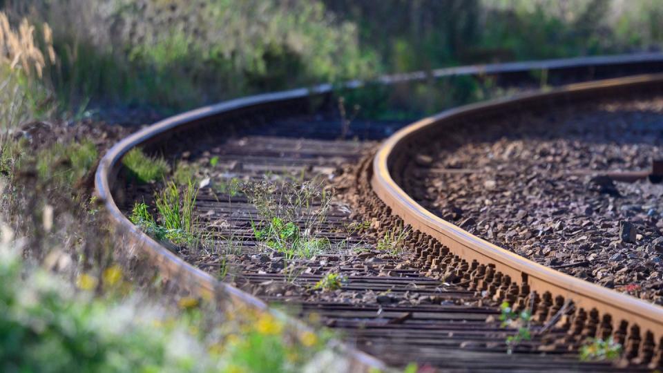 Unkraut wächst zwischen den Gleisen auf dem Gelände eines Bahnhofs. (Archivbild)