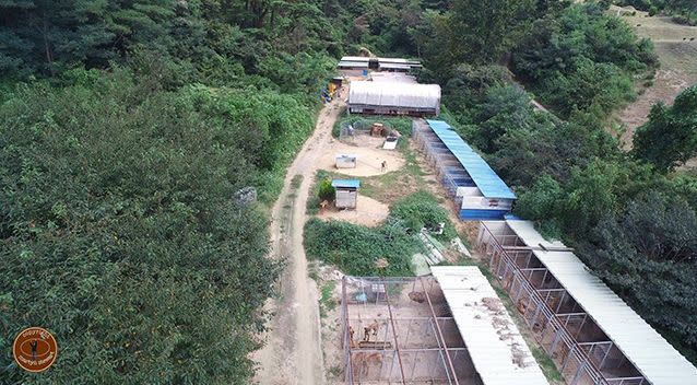 The dog farm where Pocket lived in South Korea. Photo: Facebook/Martyn Stewart