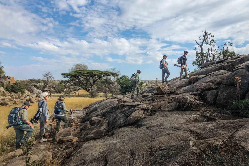 <p>Courtesy of Mark Thornton Safaris</p> Mark Thornton Safaris takes select groups on foot through the Serengeti.
