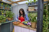 <p>'I always enjoyed upcycling and reinventing items, which is even more important now that prices are on the rise again. I hope those that see my shed can look at it and say "I can do that" – so much so that I’m actually going to start my own Potting Shed blog,' Kelly adds.</p><p><strong>Discover the other category winners from this year's competition below...</strong></p>