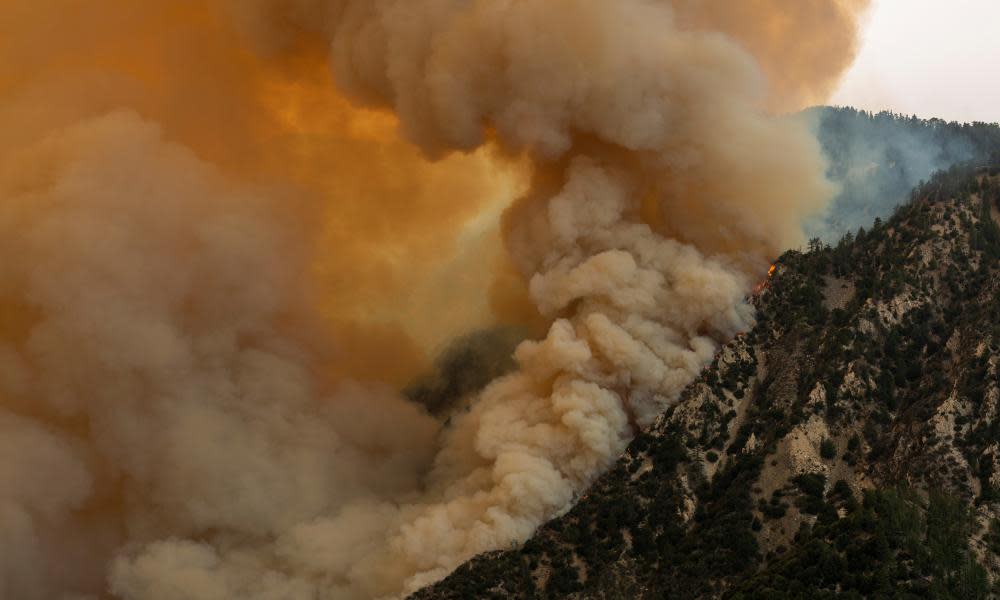 <span>Photograph: David McNew/Getty Images</span>