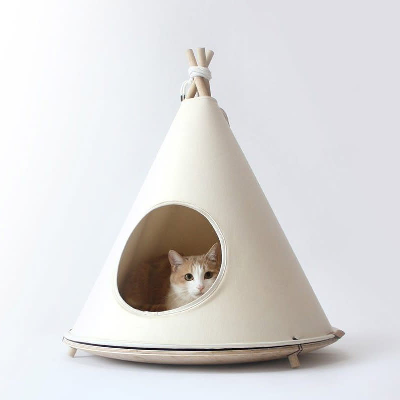 choco cat tent, best cat gifts