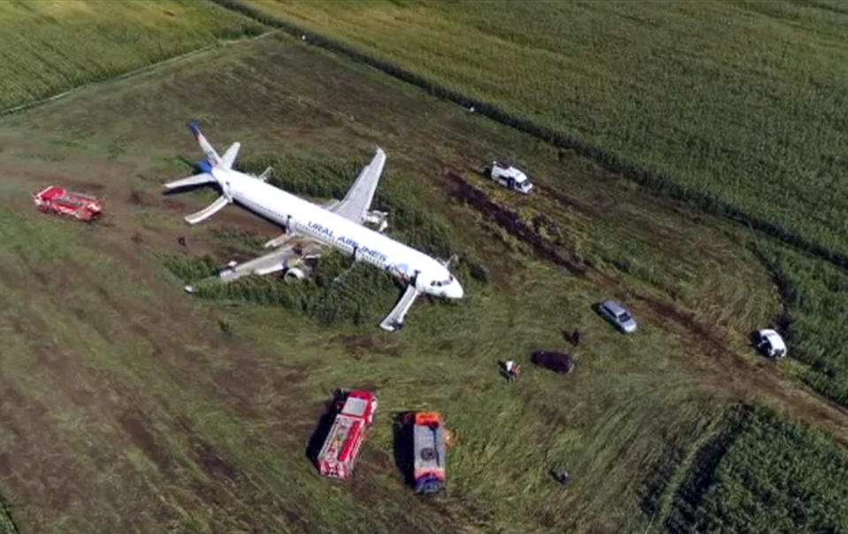 In this video grab provided by the RU-RTR Russian television, a Russian Ural Airlines' A321 plane is seen after an emergency landing in a cornfield near Ramenskoye, outside Moscow, Russia, Thursday, Aug. 15, 2019. Russian Ural Airlines' A321, carrying 226 passengers and a crew of seven, collided with a flock of birds while taking off Thursday rfom Moscow's Zhukovsky airport. Russian health authorities said that 23 people, including five children, have been hospitalized with injuries. (RU-RTR Russian Television via AP)