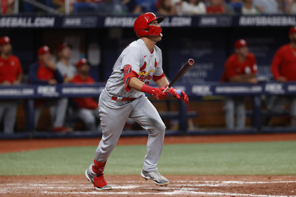 St. Louis Cardinals' Lars Nootbaar watches his RBI sacrifice fly against the Tampa Bay Rays during the 10th inning a baseball game Tuesday, June 7, 2022, in St. Petersburg, Fla. (AP Photo/Scott Audette)