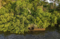 Sweetheart Island, off the coast of Yankeetown, Fla., is seen on Aug. 5, 2023. While Patrick Parker Walsh's private island ranks among the most unusual purchases by pandemic fraudsters, his crime was not unique. He is one of thousands of thieves who perpetrated the greatest grift in U.S. history. They potentially plundered more than $280 billion in federal COVID-19 aid; another $123 billion was wasted or misspent. (AP Photo/Julio Aguilar)