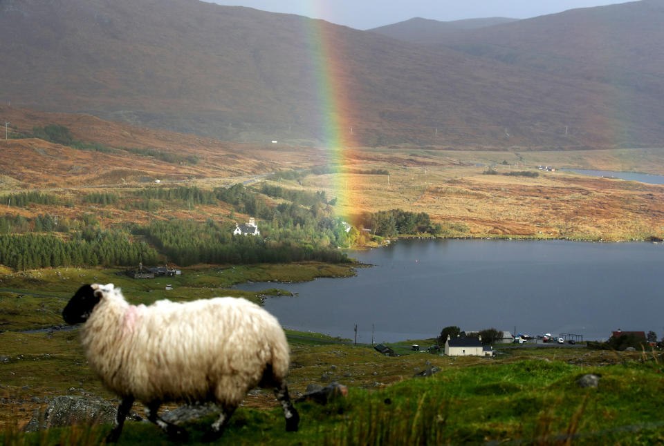 <p>But the gender pay gap in rural, island and remote areas has decreased over the last decade.</p>